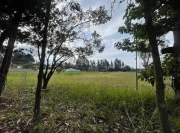 En Renta Terreno Plano - Puembo - Cerca a Los Nuevos Colegios - *mm — imagen 4