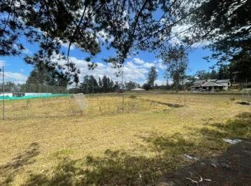 En Renta Terreno Plano - Puembo - Cerca a Los Nuevos Colegios - *mm — imagen 3