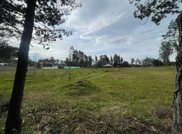 En Renta Terreno Plano - Puembo - Cerca a Los Nuevos Colegios - *mm — imagen 2