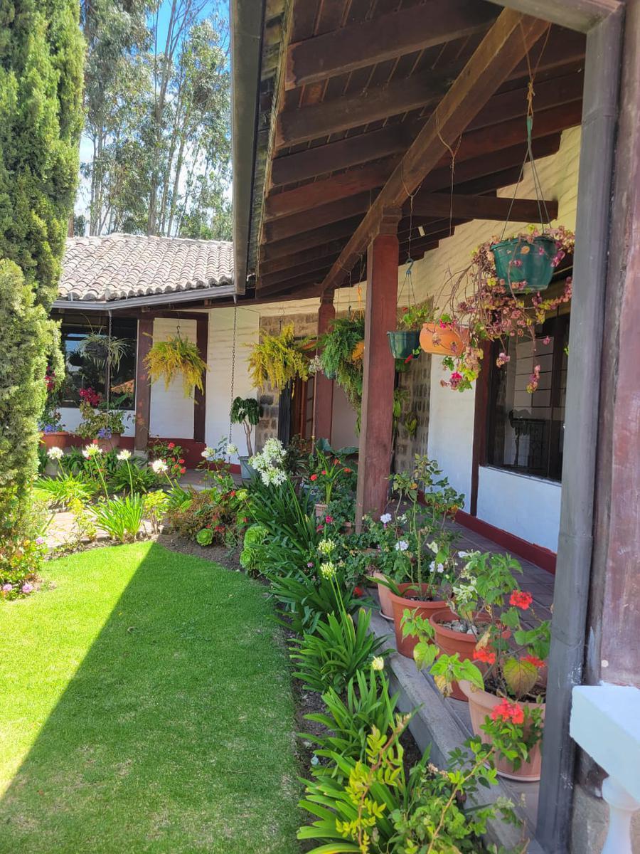 Casa de Renta/venta en Campo Alegre — imagen 10