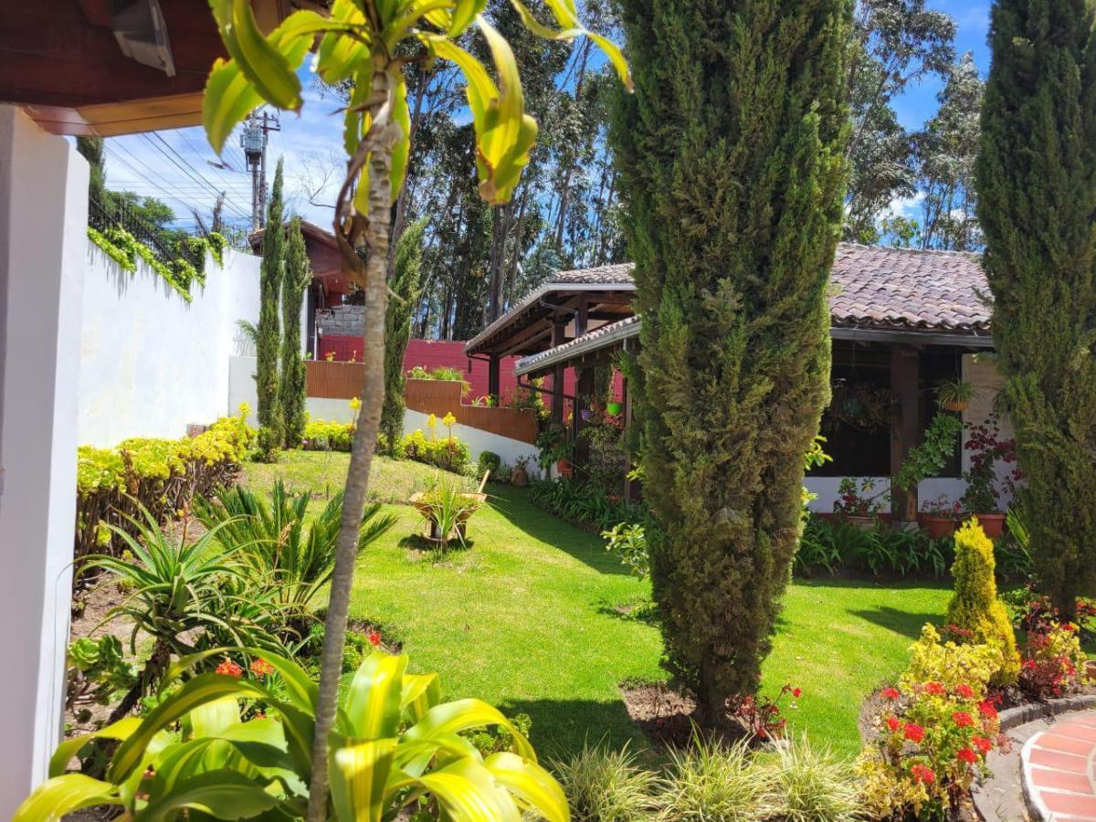 Casa de Renta/venta en Campo Alegre — imagen 8