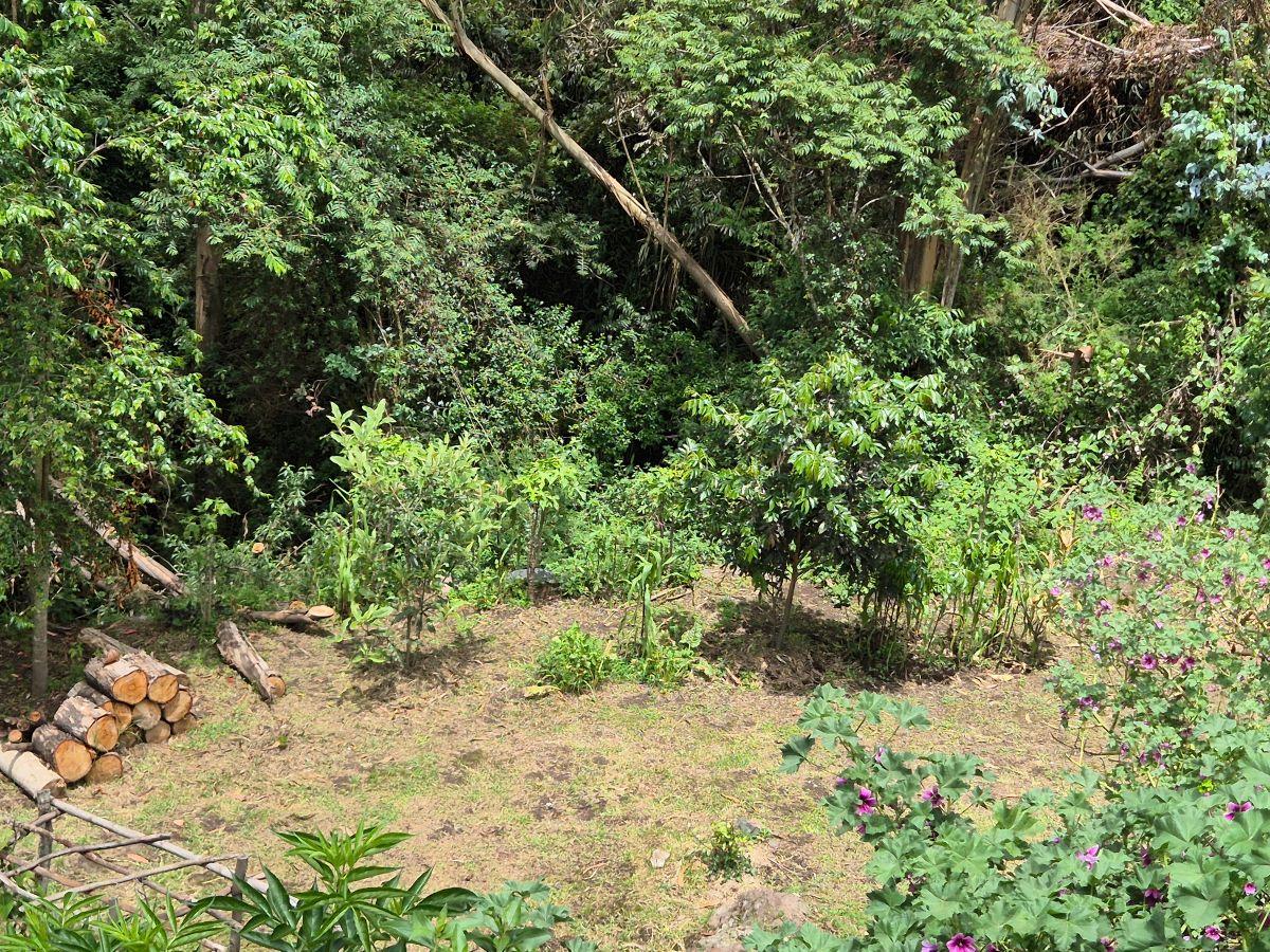 Lindo Terreno Plano 700 m² - Urbanizacion Privada Cashapamba — imagen 7
