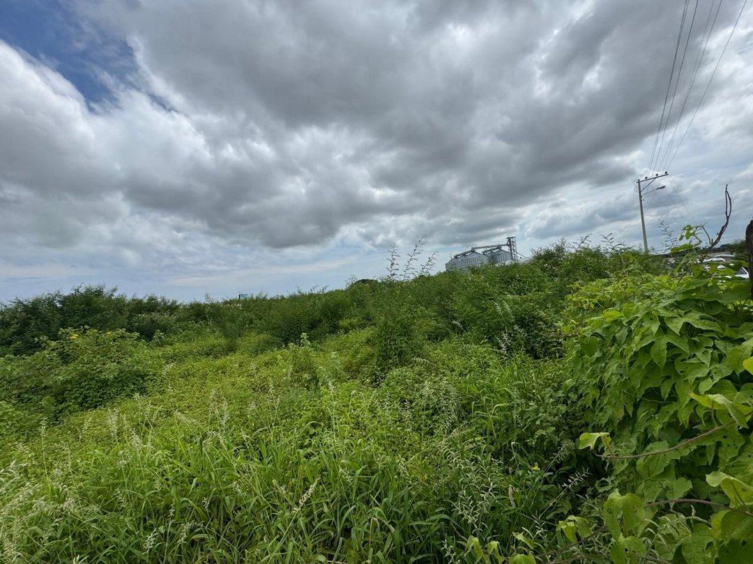 Terreno Comercial de Venta en Montecriste Fa, Manabí — imagen 8