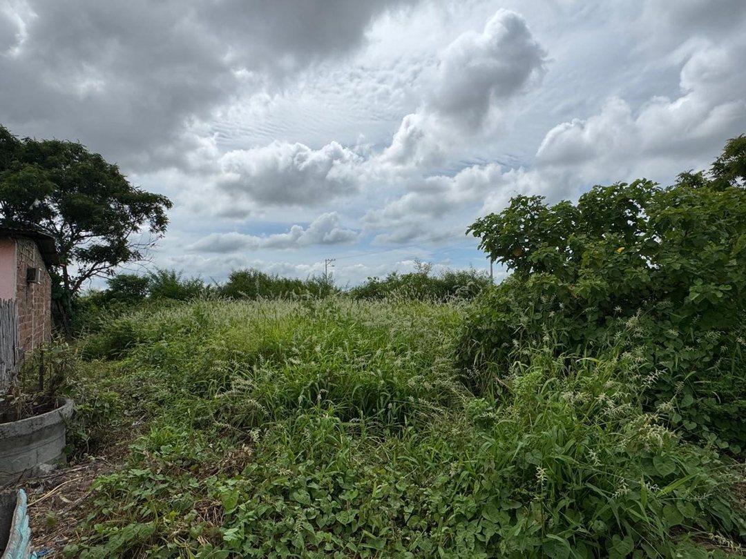 Terreno Comercial de Venta en Montecriste Fa, Manabí — imagen 7