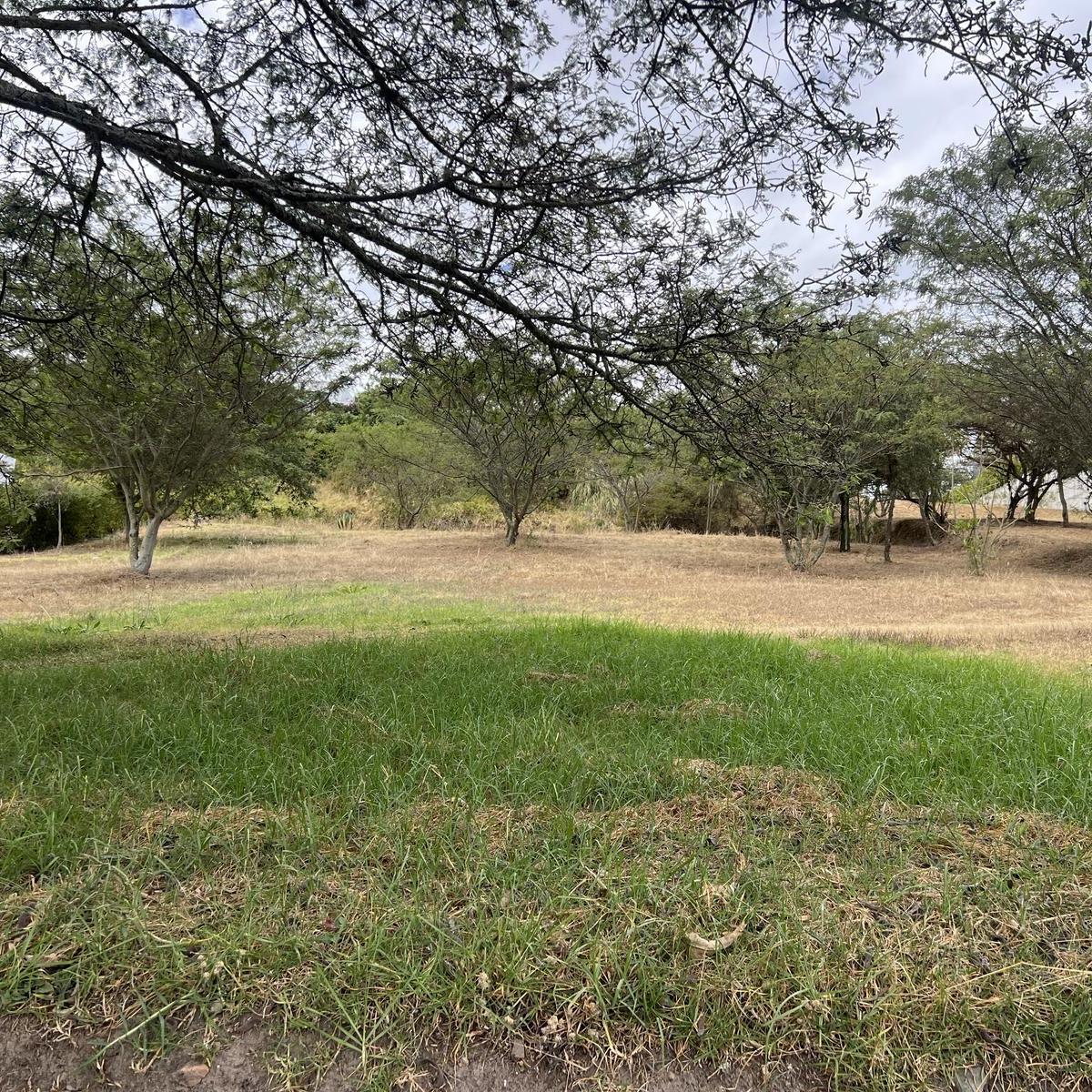 Terreno de Venta en Cumbaya en Urbanización Exclusiva — imagen 1
