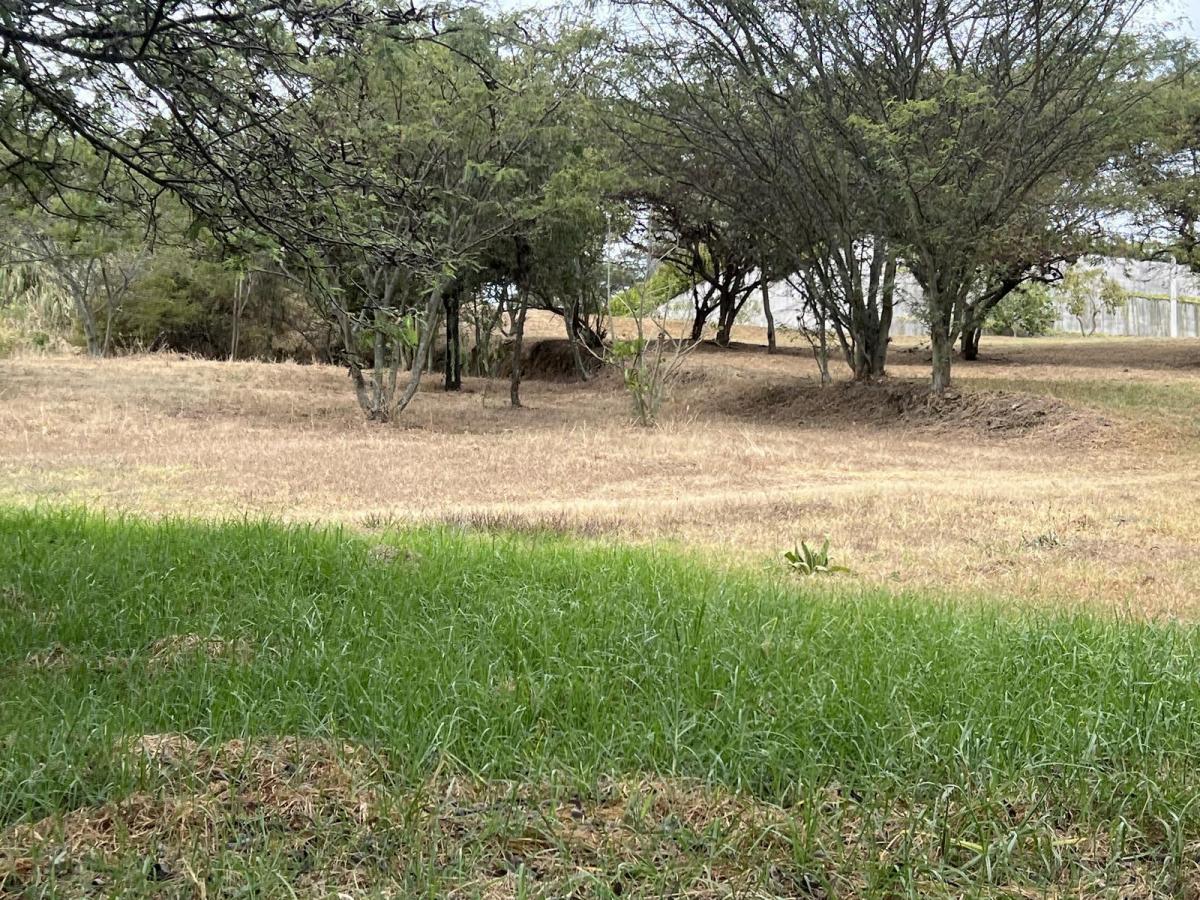 Terreno de Venta en Cumbaya en Urbanización Exclusiva — imagen 10