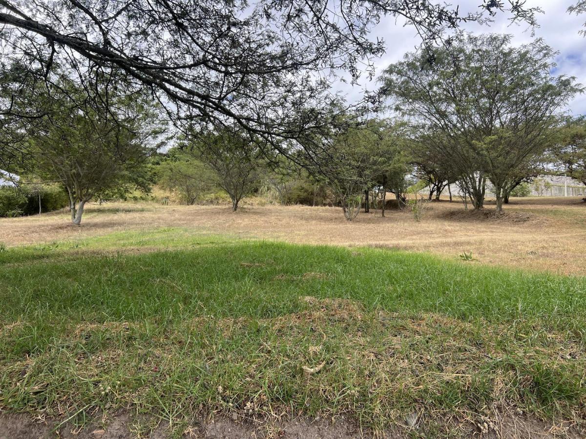 Terreno de Venta en Cumbaya en Urbanización Exclusiva — imagen 9