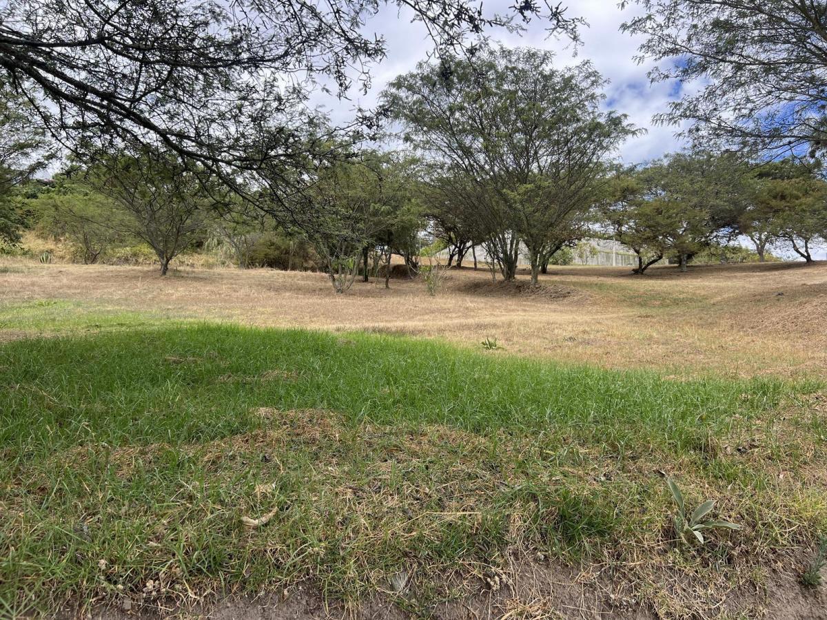 Terreno de Venta en Cumbaya en Urbanización Exclusiva — imagen 8