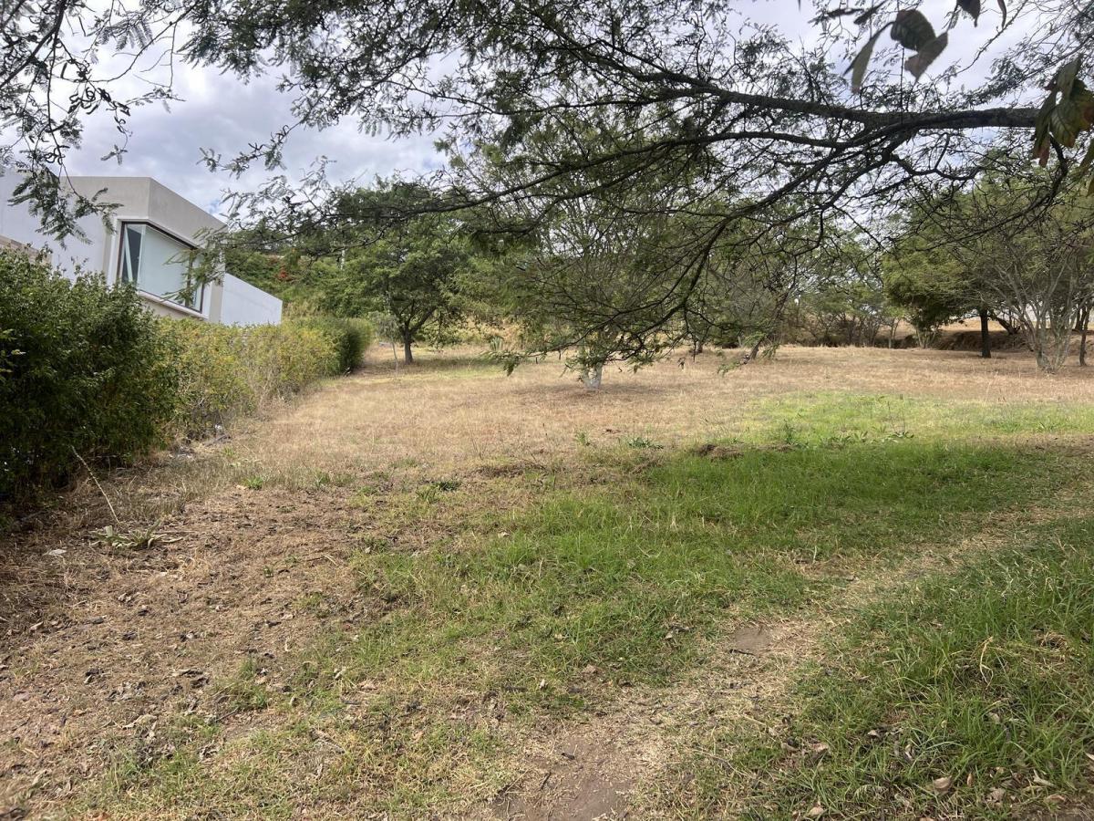 Terreno de Venta en Cumbaya en Urbanización Exclusiva — imagen 7