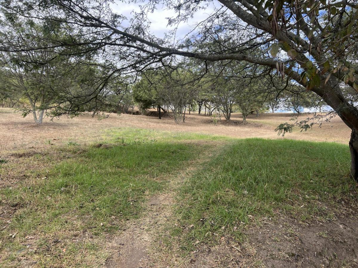 Terreno de Venta en Cumbaya en Urbanización Exclusiva — imagen 6