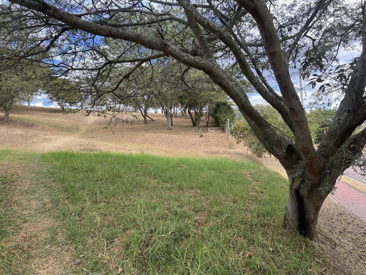 Terreno de Venta en Cumbaya en Urbanización Exclusiva — imagen 5