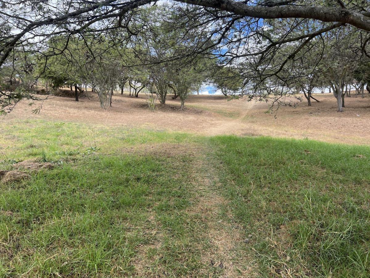 Terreno de Venta en Cumbaya en Urbanización Exclusiva — imagen 4