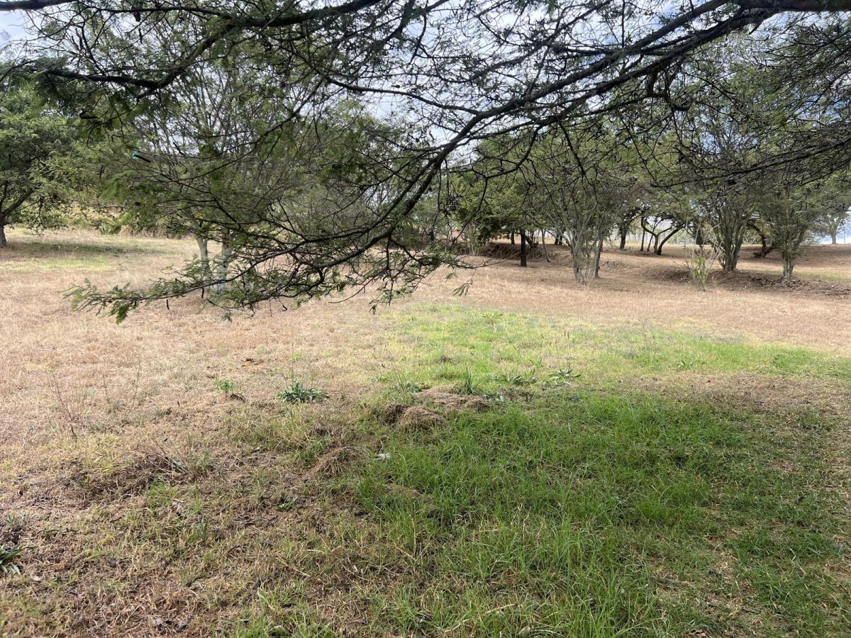 Terreno de Venta en Cumbaya en Urbanización Exclusiva — imagen 3