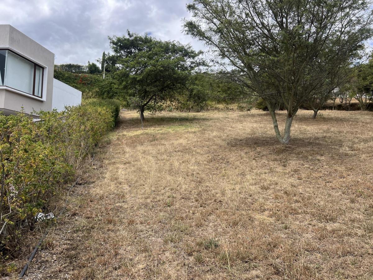 Terreno de Venta en Cumbaya en Urbanización Exclusiva — imagen 2