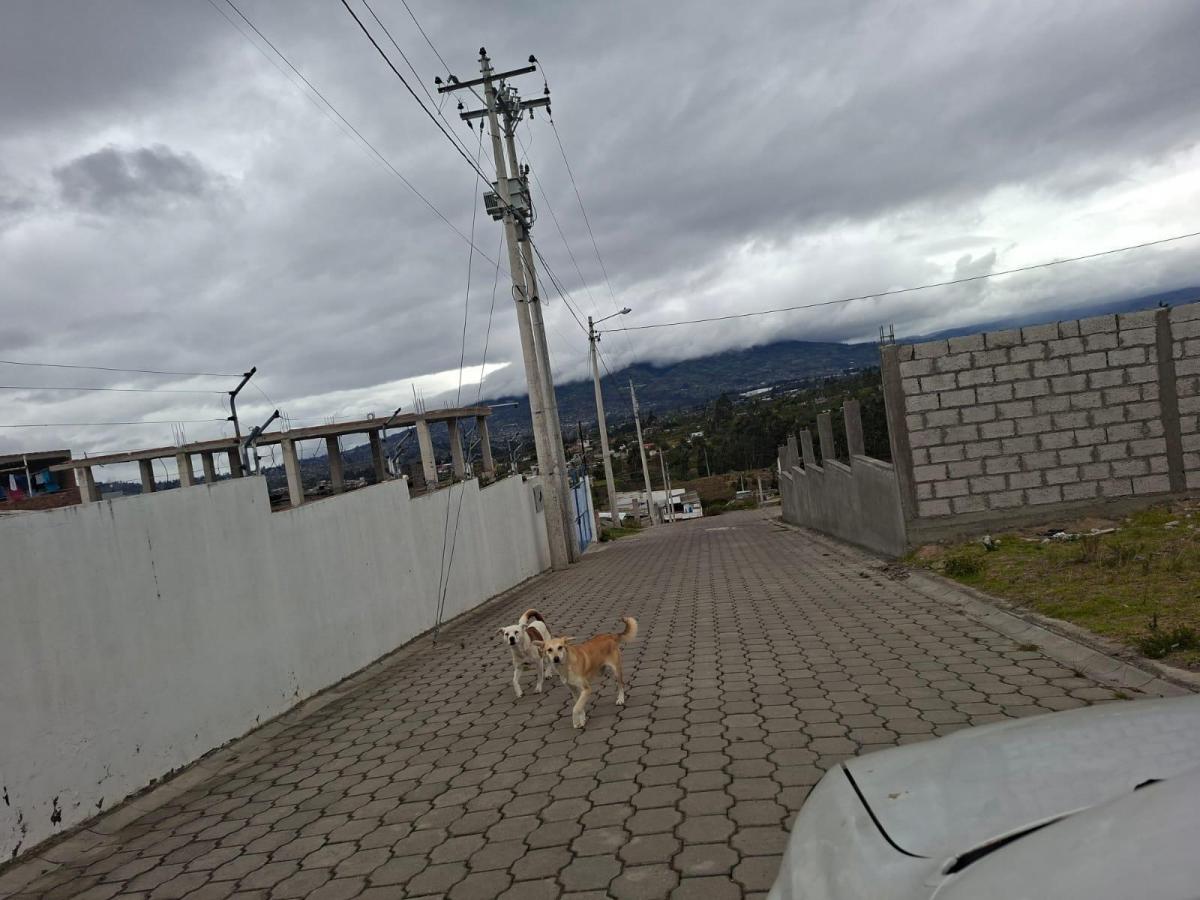 Terreno en Venta Huachi San Francisco, Tungurahua — imagen 8