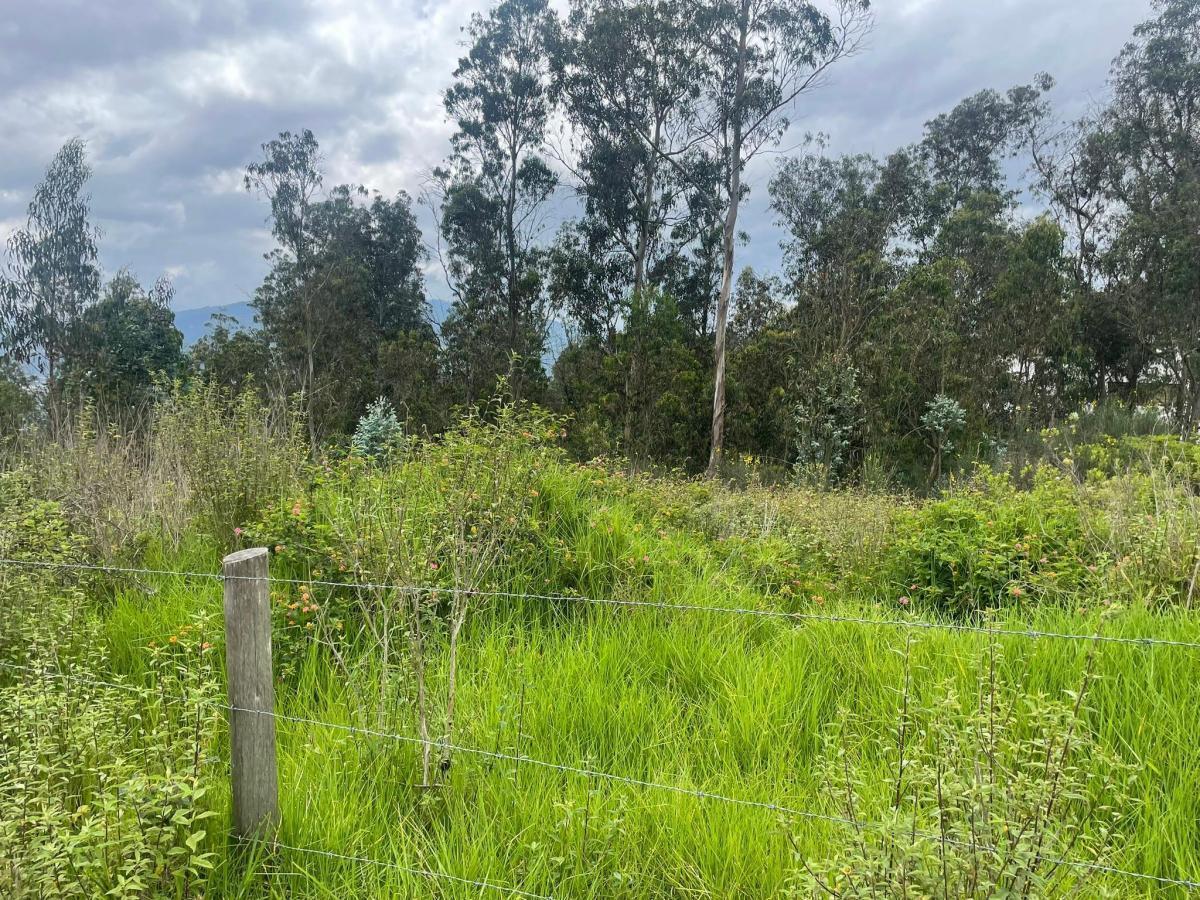 Venta Terreno de 6.523 m² en Nayón — imagen 10