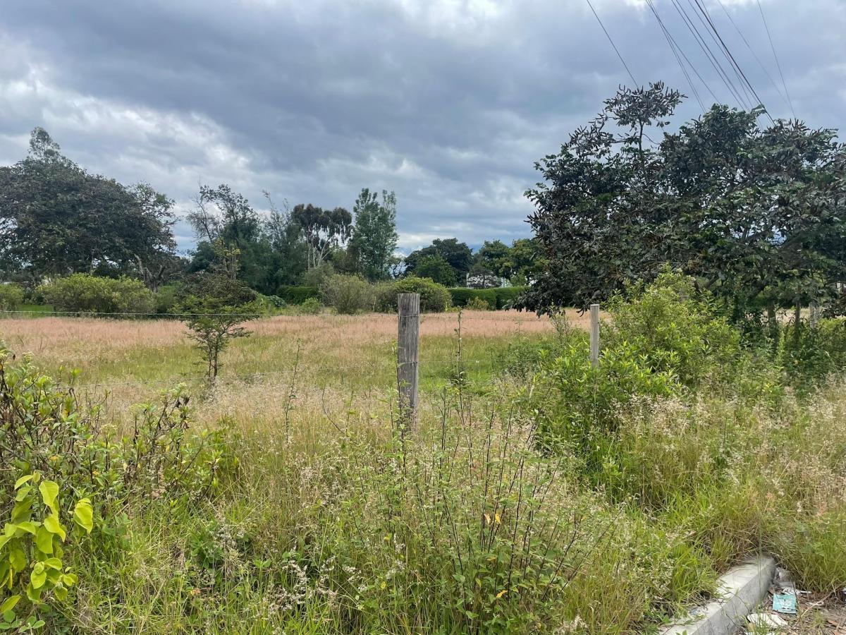 Venta Terreno de 6.523 m² en Nayón — imagen 9