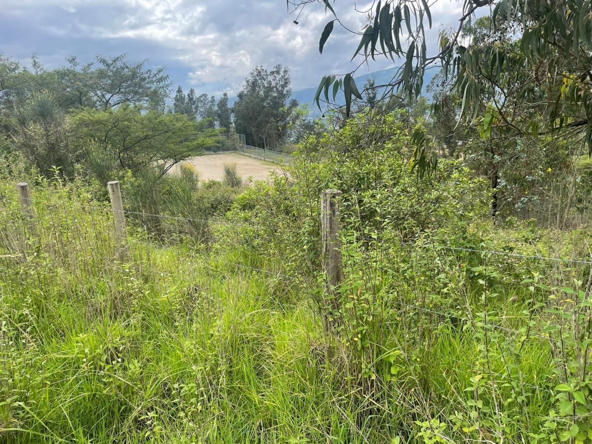 Venta Terreno de 6.523 m² en Nayón — imagen 7