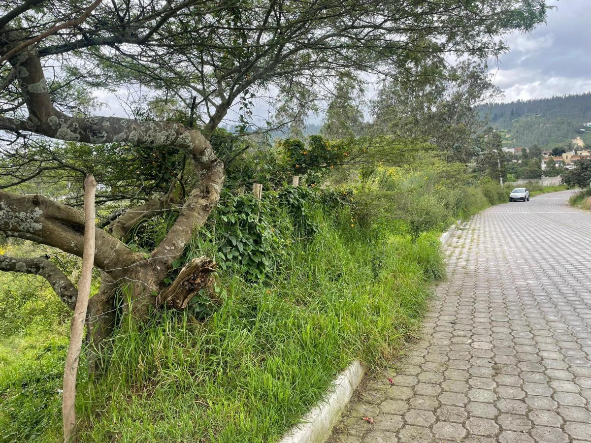 Venta Terreno de 6.523 m² en Nayón — imagen 5