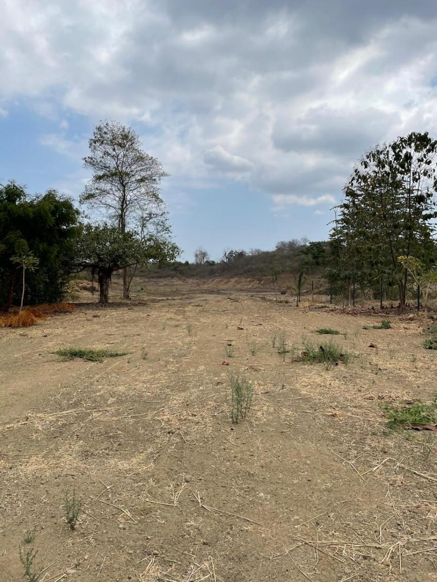 Lomas del Bosque Terreno en Venta Al Pie del Lago Via a La Costa, Guayas — imagen 6