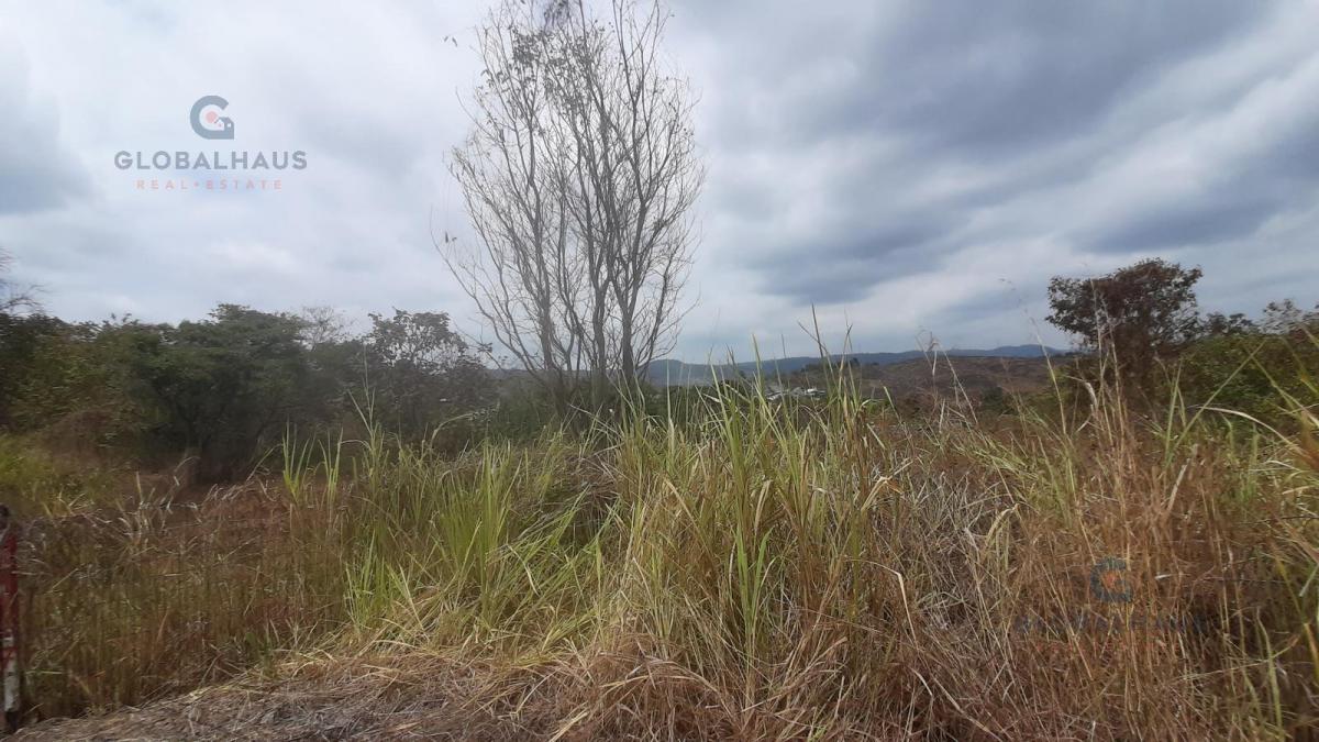 Venta de Macrolote de 78.846.59 en Vía a La Costa, Comunidad Casas Viejas m. A. Guayas — imagen 10