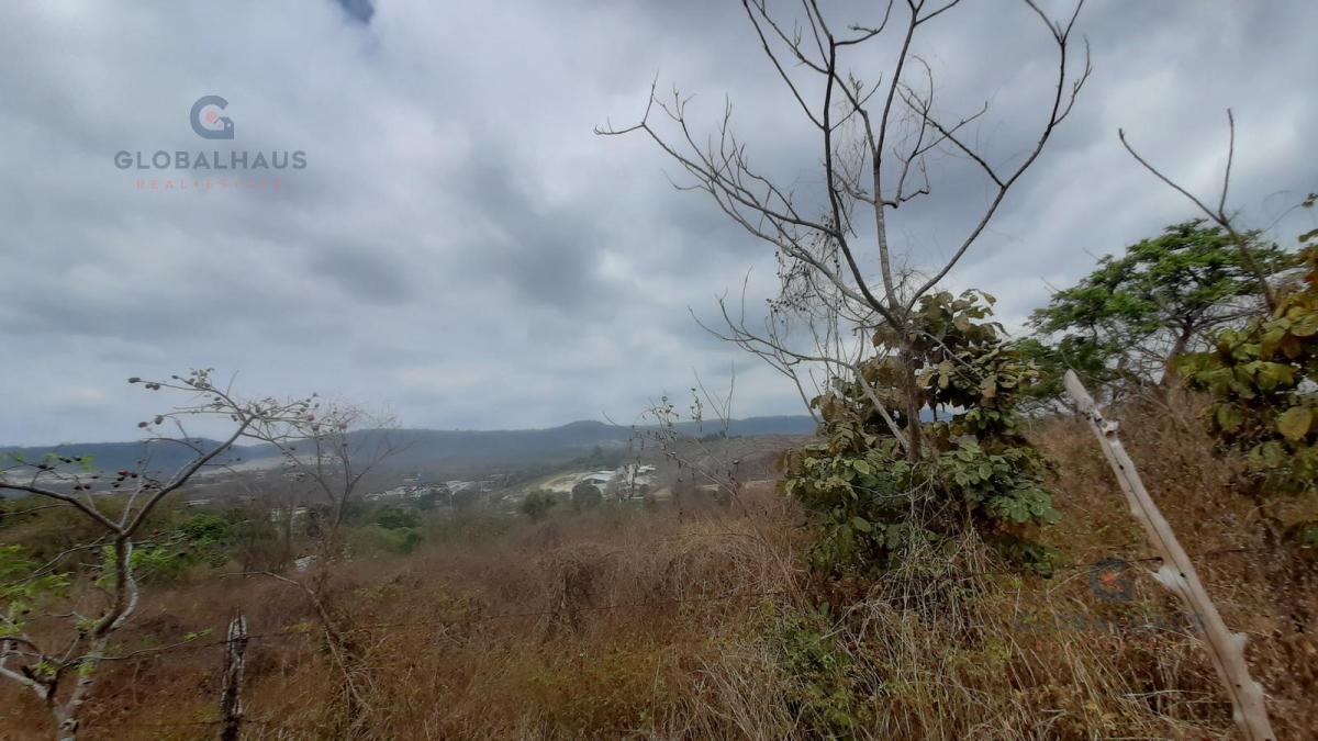 Venta de Macrolote de 78.846.59 en Vía a La Costa, Comunidad Casas Viejas m. A. Guayas — imagen 9