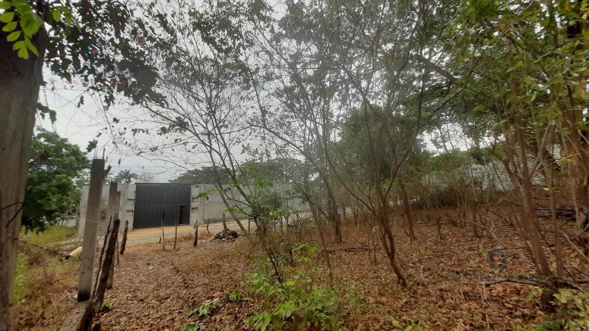 Venta de Macrolote de 78.846.59 en Vía a La Costa, Comunidad Casas Viejas m. A. Guayas — imagen 6