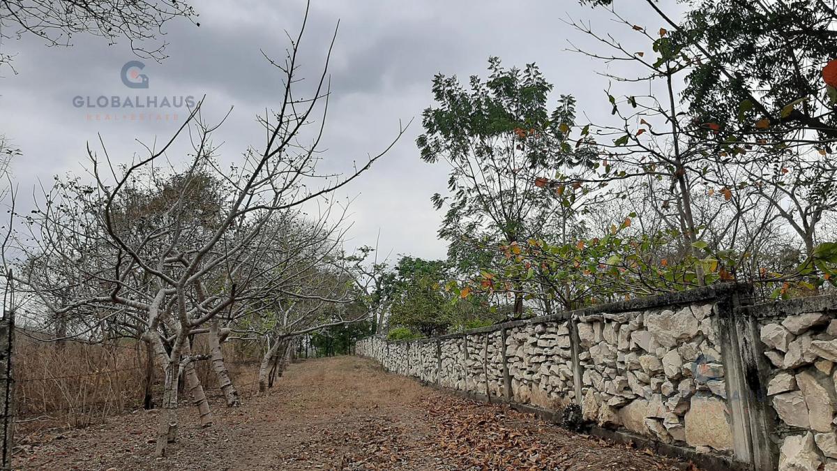 Venta de Macrolote de 78.846.59 en Vía a La Costa, Comunidad Casas Viejas m. A. Guayas — imagen 3