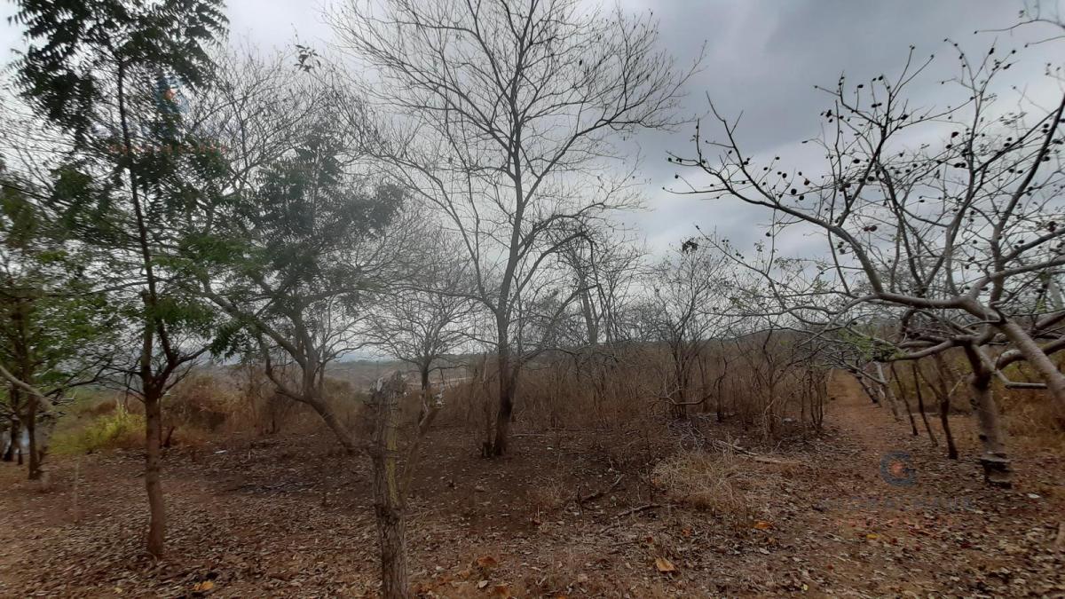 Venta de Macrolote de 78.846.59 en Vía a La Costa, Comunidad Casas Viejas m. A. Guayas — imagen 2