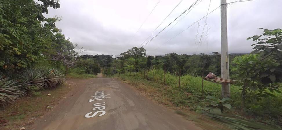 Excelente Oportunidad Vendo 26 Has de Terreno en Km. 22 Vía a La Costa E. Men, Guayas — imagen 3