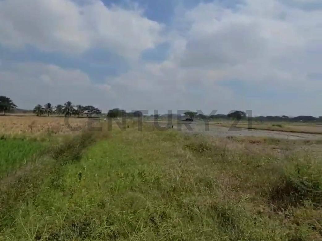 Terreno en Venta Lotización Buijo, Samborondón, Guayas — imagen 8