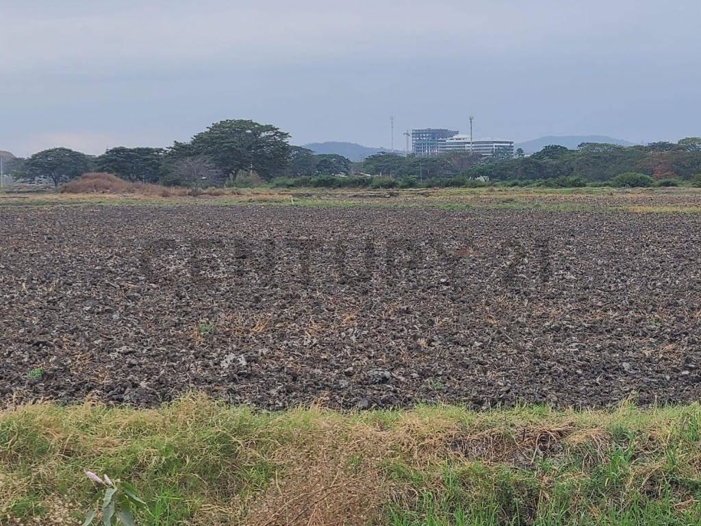 Terreno en Venta Lotización Buijo, Samborondón, Guayas — imagen 7