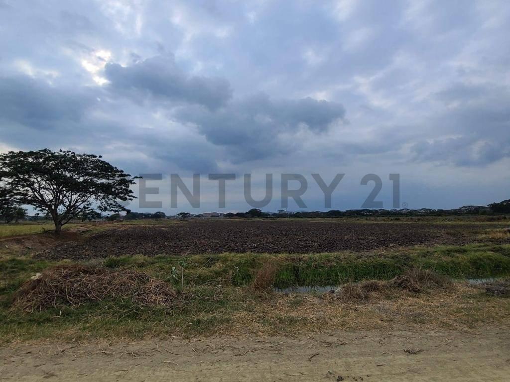 Terreno en Venta Lotización Buijo, Samborondón, Guayas — imagen 6
