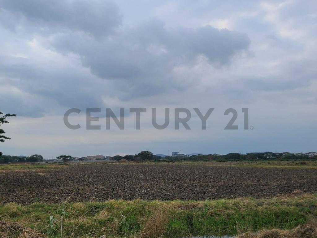 Terreno en Venta Lotización Buijo, Samborondón, Guayas — imagen 4