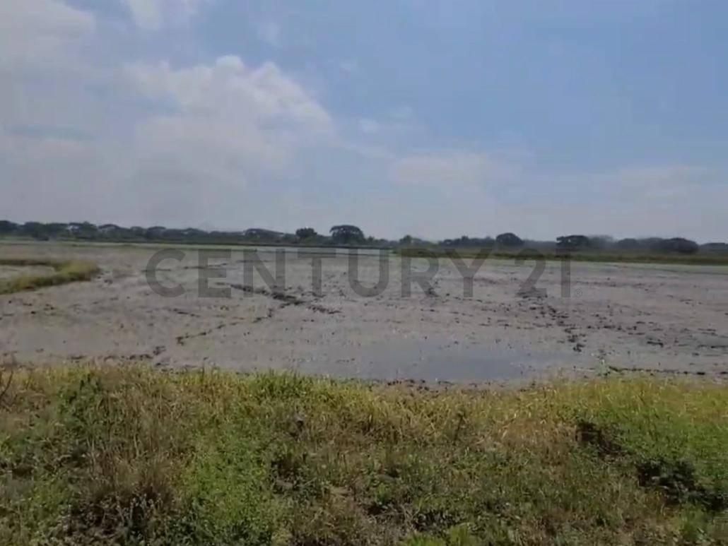 Terreno en Venta Lotización Buijo, Samborondón, Guayas — imagen 3