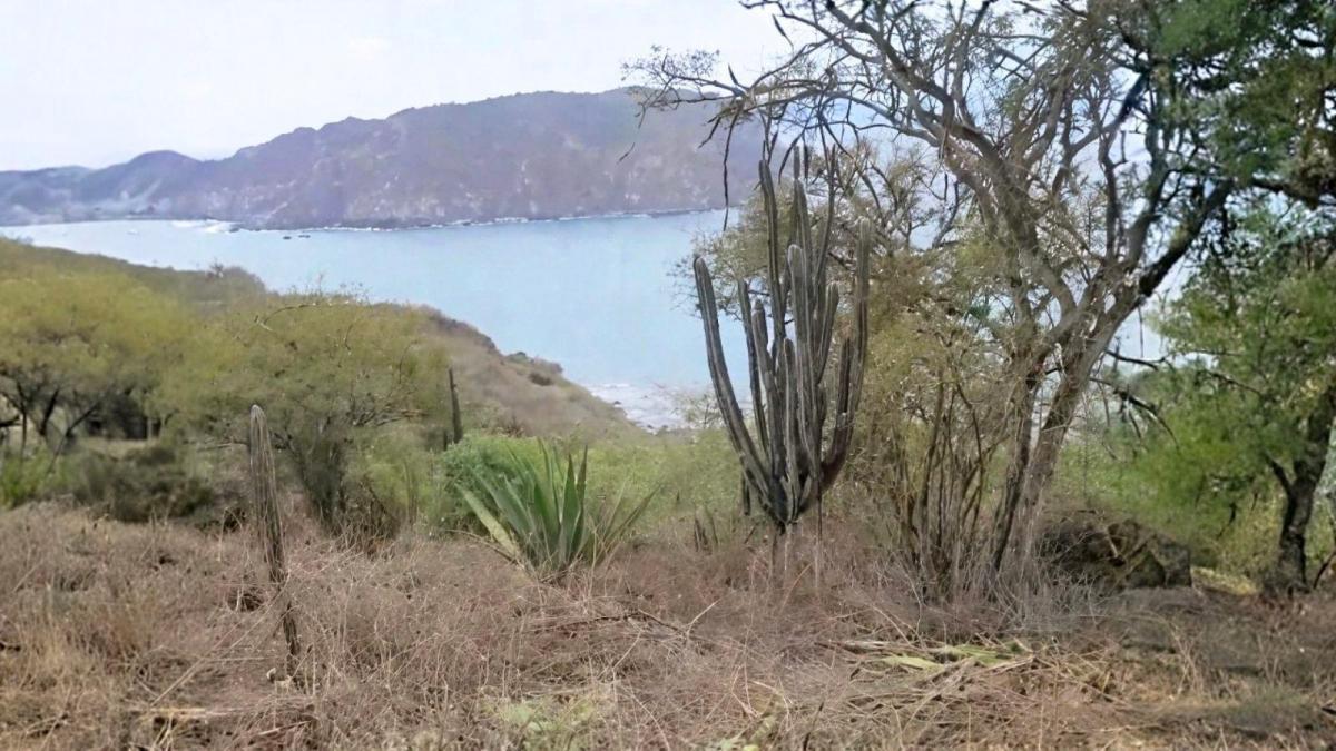 Terreno en Venta en Salango Ings, Manabí — imagen 5