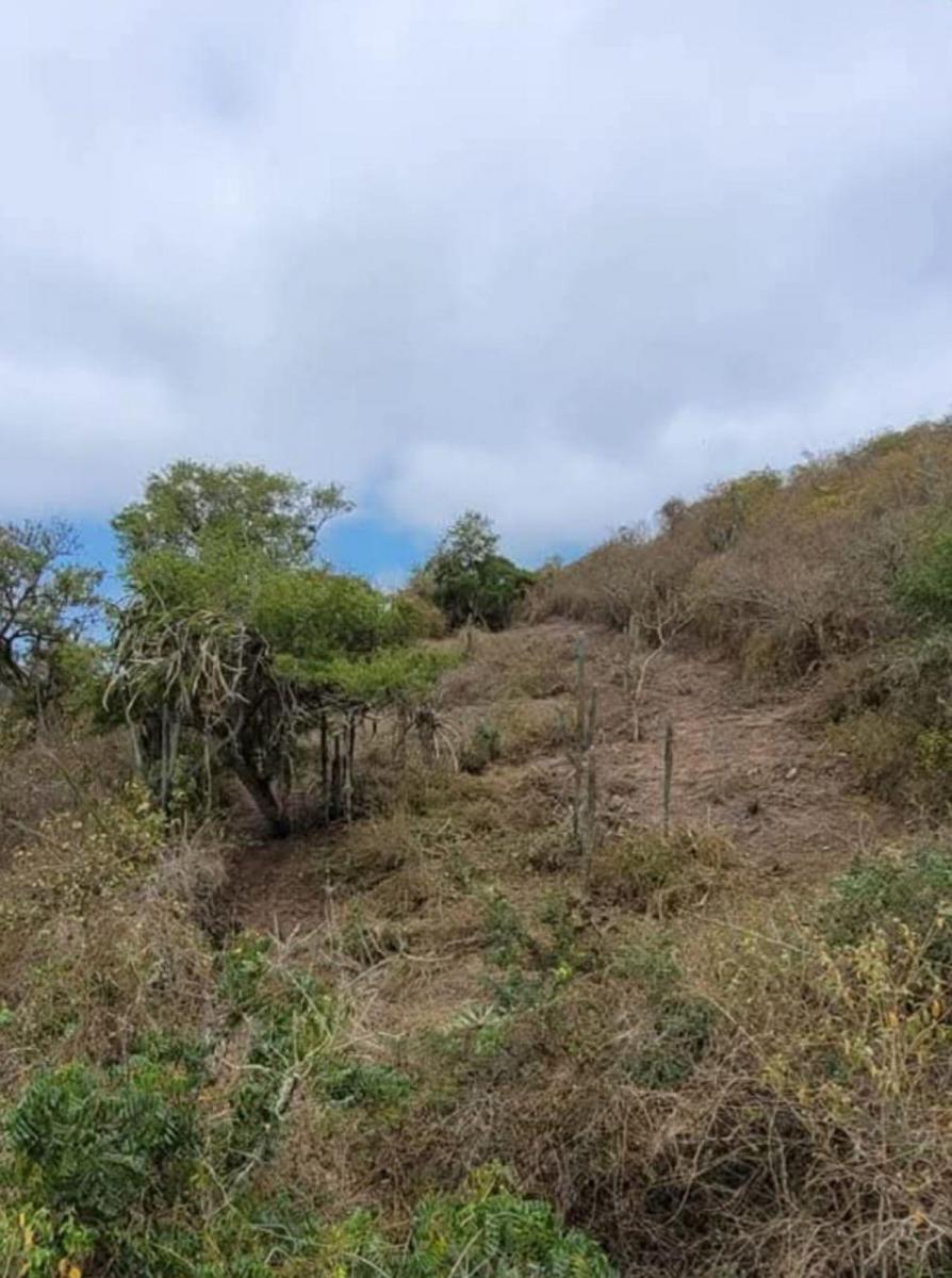 Terreno en Venta en Salango Ings, Manabí — imagen 2