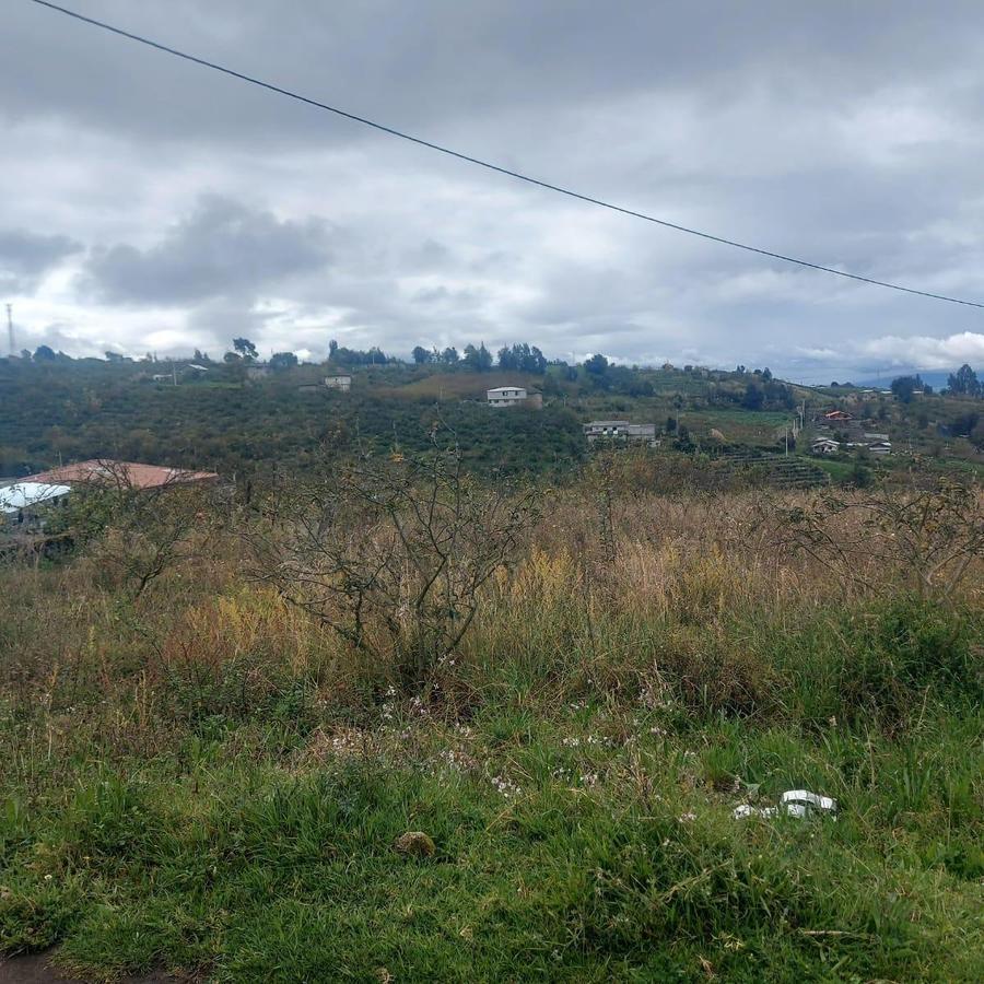 Terreno Plano en Venta Mocha Tungurahua, Tungurahua — imagen 8