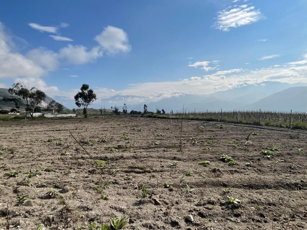 Venta Terrenos Desde 635 m² en La Mitad del Mundo — imagen 8