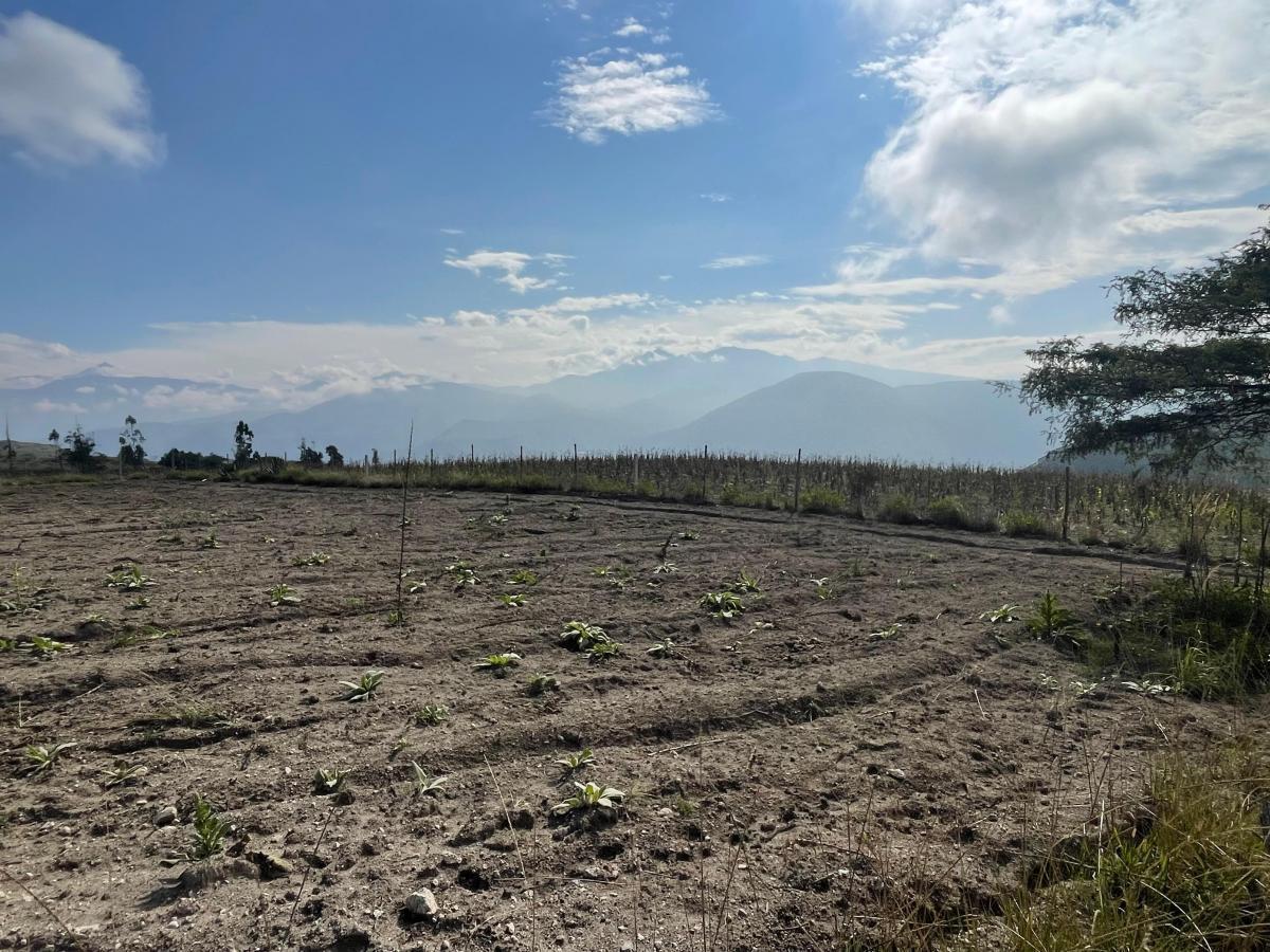 Venta Terrenos Desde 635 m² en La Mitad del Mundo — imagen 7