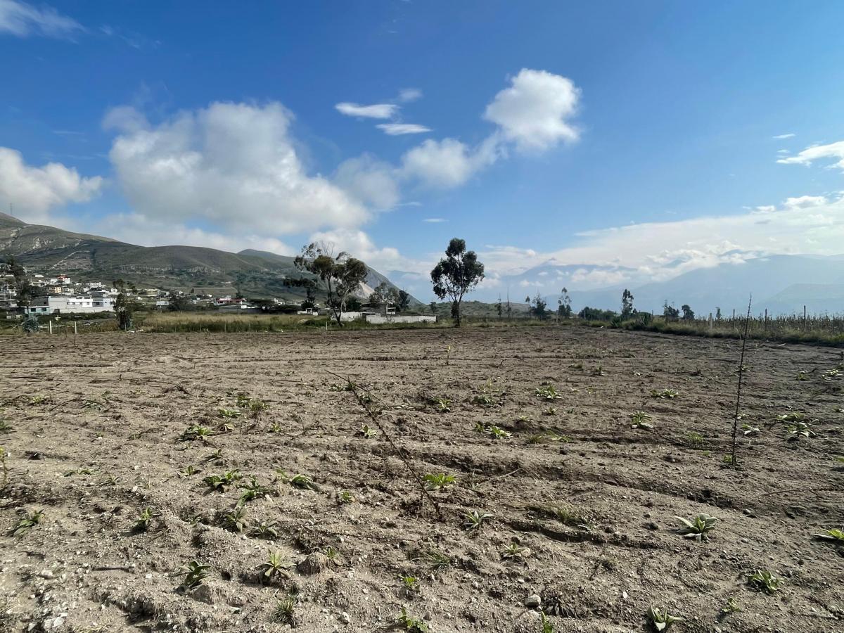 Venta Terrenos Desde 635 m² en La Mitad del Mundo — imagen 4