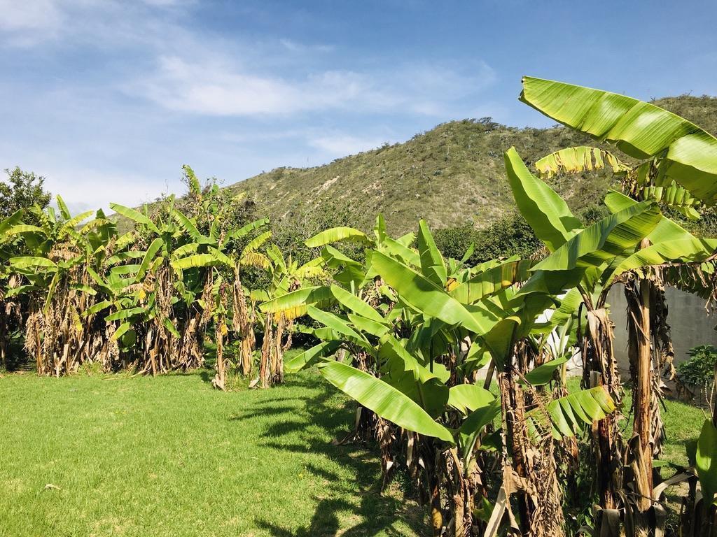 Jal. Venta Quinta en Guayllabamba, con Casa 2 Pisos, Bbq y Árboles Frutales — imagen 10
