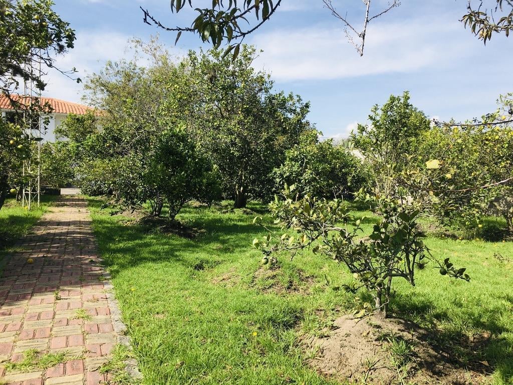Jal. Venta Quinta en Guayllabamba, con Casa 2 Pisos, Bbq y Árboles Frutales — imagen 9