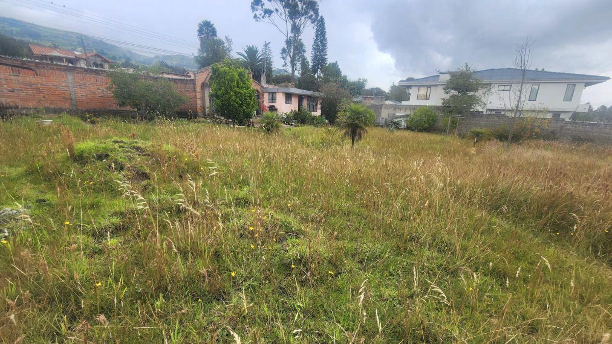 Se Vende Terreno Grande con Casa en Ontaneda Baja — imagen 6