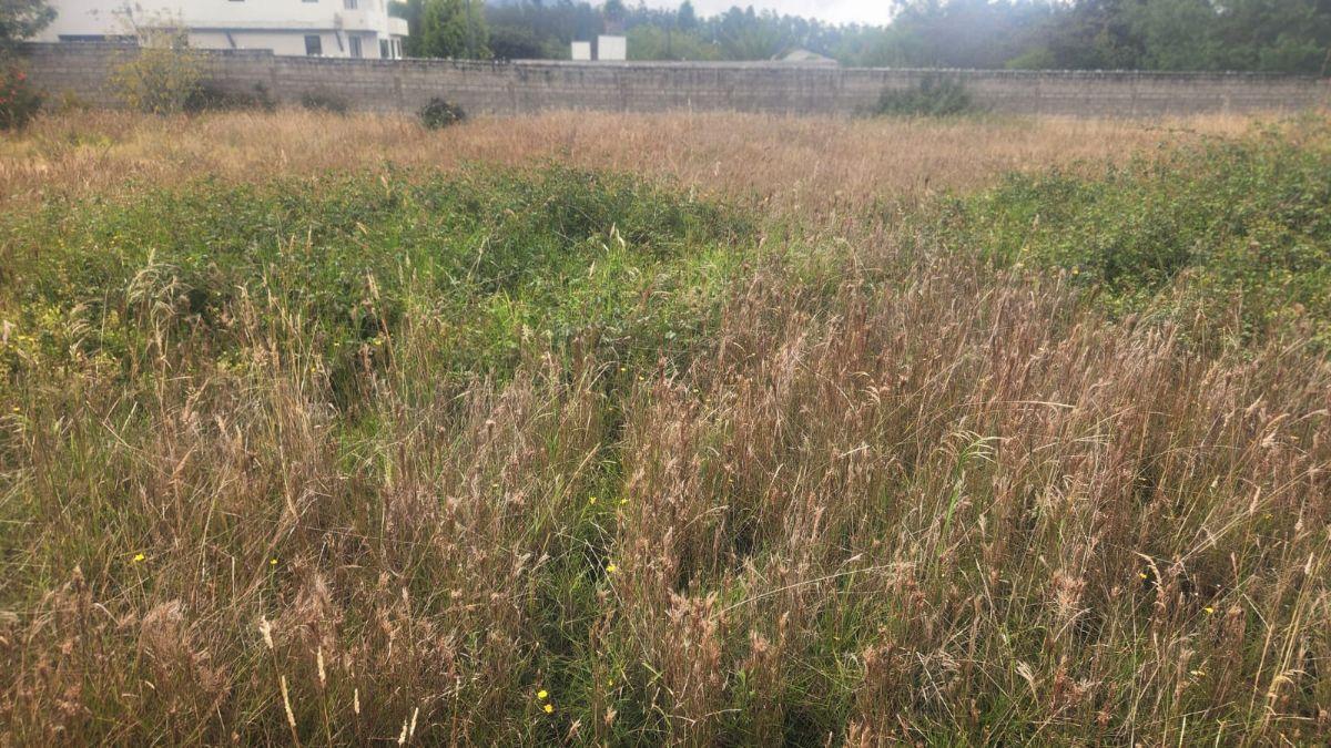 Se Vende Terreno Grande con Casa en Ontaneda Baja — imagen 3