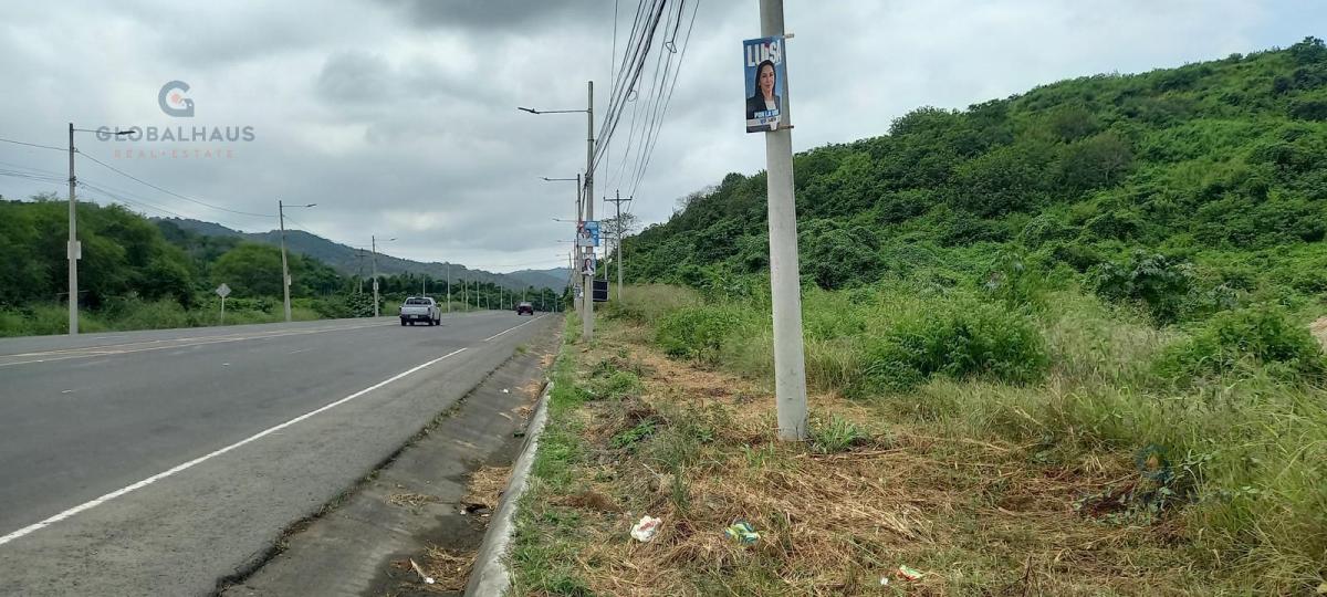 Venta de Terreno en Vía Montecristi Portoviejo, 33 Has. J. m. Manabí — imagen 4
