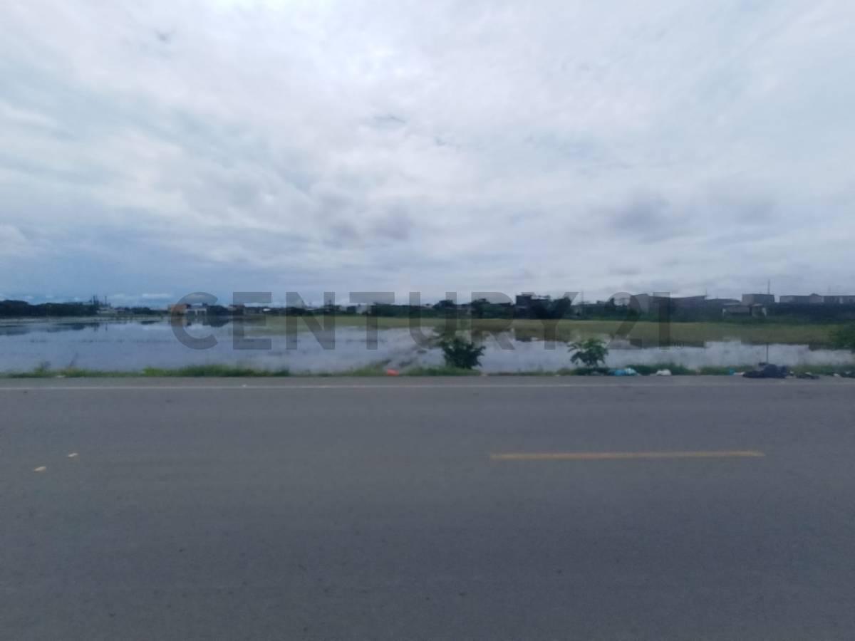 Vendo Terreno Desde 10,000 m² en Samborondon Cabecera Cant. Al Pie de Via Nueva, Guayas — imagen 4