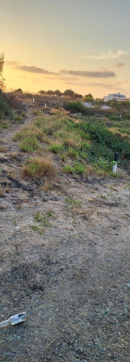 1000 m² Terreno en Loma de Punta Blanca a Pocos Pasos del Mar! — imagen 5