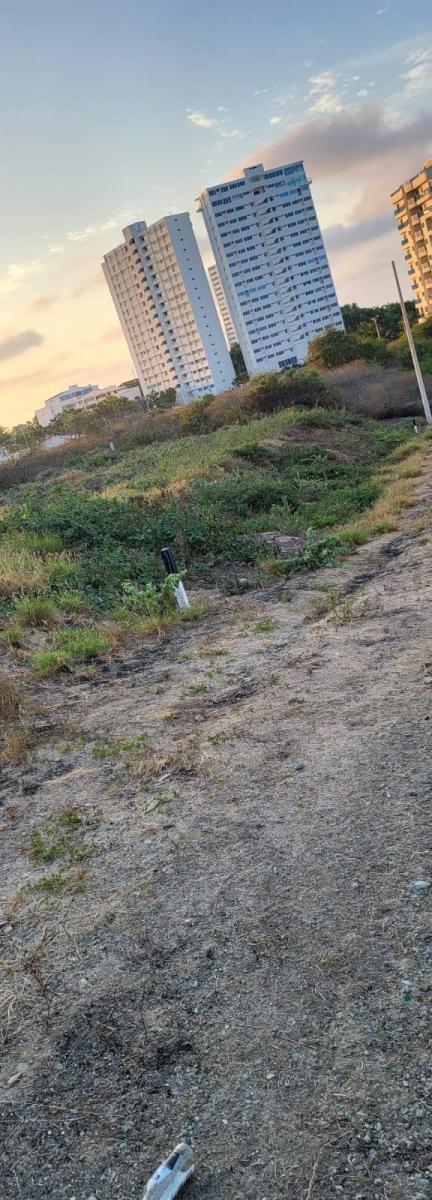 1000 m² Terreno en Loma de Punta Blanca a Pocos Pasos del Mar! — imagen 4