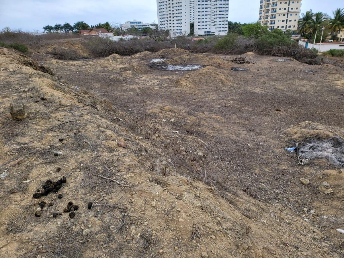 1000 m² Terreno en Loma de Punta Blanca a Pocos Pasos del Mar! — imagen 3
